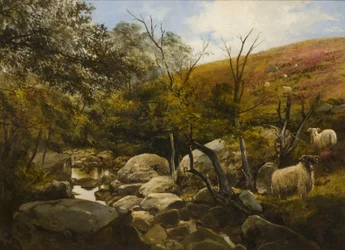 On the Black Burn, near Rothbury